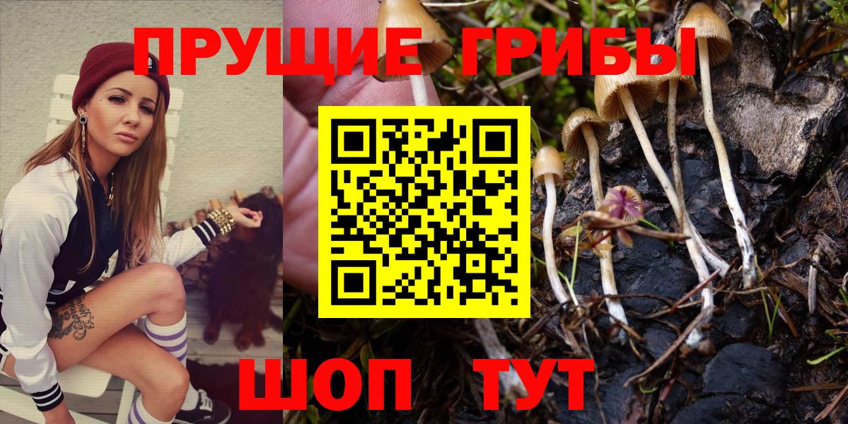 Псилоцибиновые грибы Cubensis  Галлюциногенные грибы Cubensis  Вход с VPN  Родники 